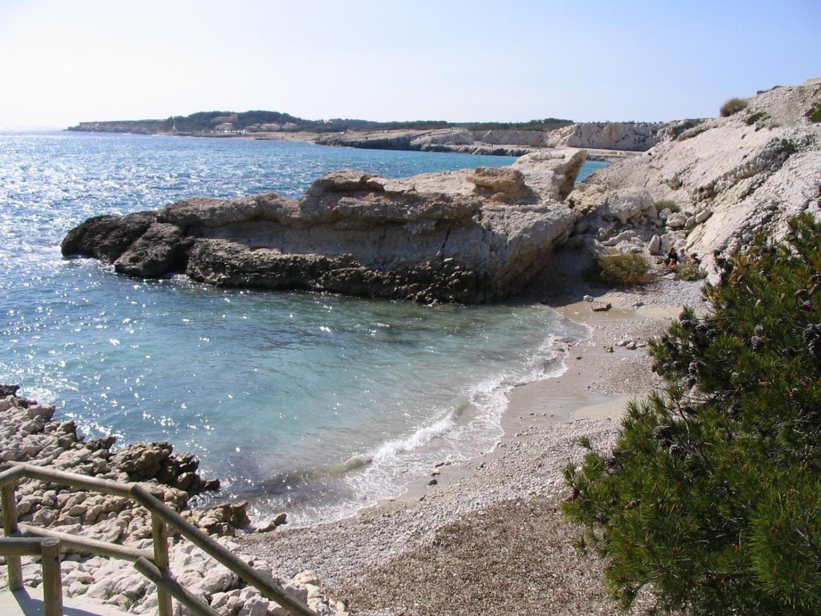 *Tiny Jungle* / Plage, Port Et Commerces A Pied Sausset-les-Pins Exteriör bild